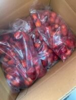 ⁦باندل الثري فروتس 😍 15ك  فواكه مجمده ( 5ك شرائح مانجو - 5ك فراوله مفرزه - 
5ك جوافه بدون بذر  او 5ك رمان مفىز حسب اختيارك)⁩ - الصورة ⁦5⁩