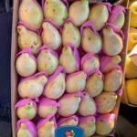 جوافة بناتي فريش