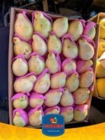 جوافة بناتي فريش