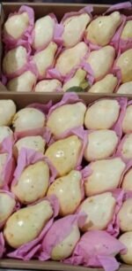 جوافة بناتي فريش - Image 2