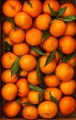 كلامنتينا عرايشي في قلبها سكر 😍😋 - Image 3