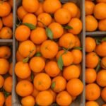 كلامنتينا عرايشي في قلبها سكر 😍😋