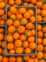 كلامنتينا عرايشي في قلبها سكر 😍😋