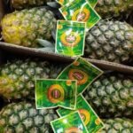 اناناس شجر سكري جامبو مستورد 1 (حبه)