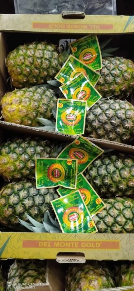 اناناس شجر سكري جامبو مستورد 1 (حبه)